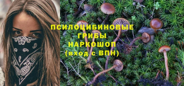 прущая мука Абдулино