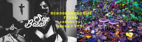 гидра Абаза