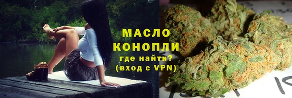 гидра Абаза
