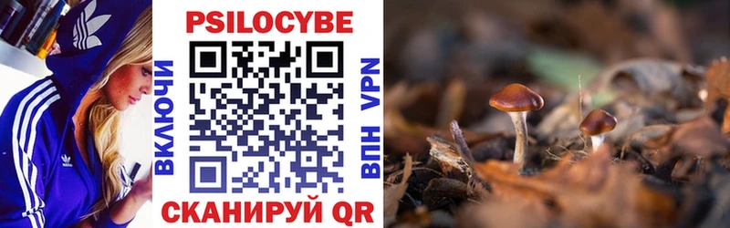 Псилоцибиновые грибы Psilocybe  Чулым 